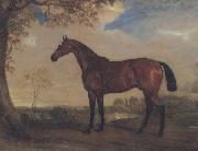 John Ferneley Portrait of a Hunter Mare,The Property of Robert shafto of whitworth park,durham China oil painting reproduction